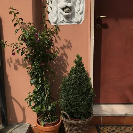 Con Terrazza E Posto Auto Libri E Giardini * Pero